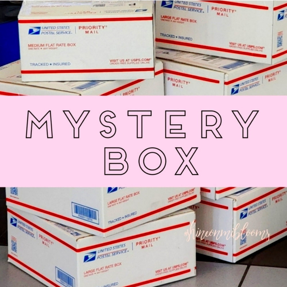 IT'S BACK!! Mystery Box Medium
